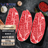 澳牛日记 澳洲纯血和牛M9牛腩排 净重500g 撒撒米日式烧烤烤肉食材原切