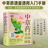 中草药全真识别图鉴(彩插精装版) 中草药中医养生保健 中草药速查速用入门手册