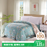 艾薇 A类被套单件被罩纯棉温馨磨毛全棉双人被套220*240cm  清馨花园