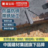 嘉宝莉（CARPOLY）二合一水性金属漆免除锈彩钢瓦翻新油漆防腐铁锈转化剂中灰1kg