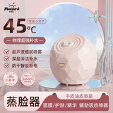 米波迪（Meebordi）蒸脸仪热喷蒸脸器加湿补水神器纳米喷雾家用面部美容仪补水打开毛孔排毒熏蒸淡雅粉毕业礼物送老师