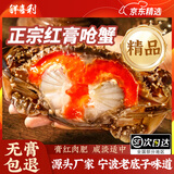 舟山红膏呛蟹整只酱母蟹宁波炝蟹梭子蟹咸蟹生腌螃蟹海鲜醉蟹即食 【单只净重6-8两】2只 大号热卖
