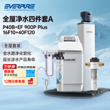 爱惠浦（Everpure）家用全屋软化过滤器 厨房出水直饮 美肤洗浴 呵护衣物 中央过滤净水器四件套A