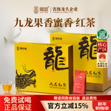 闽景印象红茶金骏眉茶叶正宗特级250g武夷黄芽蜜香散装养胃年货新茶自己喝 绿色【果香红茶】九龙树种170g*2盒