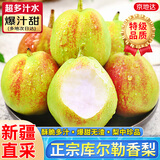 京地达香梨子新疆库尔勒香梨子新鲜水果年货净重8斤单果115g+源头包邮