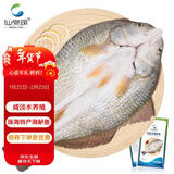 仙泉湖三去斑点尾鲈鱼1斤单条净膛后冷冻肉厚刺少 海鲜水产生鲜食材年货