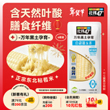 北纬47度 白甜糯玉米2.76斤(230g*6根) 东北粘黏鲜玉米棒真空包装 