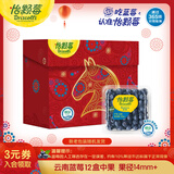 怡颗莓Driscoll's云南蓝莓14mm+ 12盒装 约125g/盒 新鲜水果礼盒