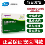 【现货当日发】赛瑞宁片狗用止吐片宠物猫咪狗狗晕车呕吐黄水白沫腹泻便血调理肠胃宠物西咪替丁药 赛瑞宁16mg 4片*1盒 【整盒刮码】