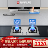 樱花（SAKURA）欧式家用23m³/min顶吸式智能体感双净滤搭5.2kW大火力一级不锈钢灶TC02+TSC01天然气【套装商品】