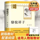 骆驼祥子 完整升级版 初中七年级下册必读 适用新版人教教材配套阅读 名师推荐考点精炼 初中七年级下册必读课外阅读书经典文学名著指定读物 无障碍阅读青少年文学 开学季