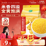 十月稻田 黄小米 2斤 五谷杂粮 低脂粗粮 早餐煮粥 正宗小米饭 米香浓郁