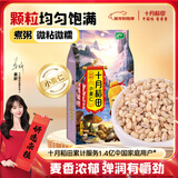 十月稻田 小麦仁 2斤 东北五谷杂粮米 全谷物 大米伴侣 低脂粗粮 高蛋白质