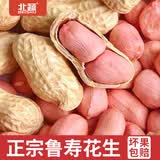 北蔬 花生种子原种新品种产高黑花生红皮四粒红农科院种籽 精选鲁寿花生种子1斤【不带壳】