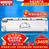 雪贝娜冰柜商用大容量全冷冻家用双温卧式冷柜展示柜 2288双机【双倍制冷一级能效】长3.1米