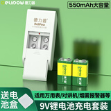 德力普（Delipow）9V充电锂电池 九伏6F22方块电池大容量充电套装适用万用表/话筒/玩具遥控器/电吉他/烟雾报警器等 双槽充电器+2节550mAh锂电池