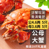 乾澄【活蟹】乾澄大闸蟹现货 公蟹4.6两母蟹3.6两 10只5对 鲜活螃蟹海鲜年货礼盒源头直发