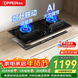 欧派（OPPEIN）燃气灶煤气灶70%热效率国家补贴天然气大面板液化气猛火灶磨砂面板双灶嵌入式台式两用 【800面板】AI智能调节火力-JJX64 天然气