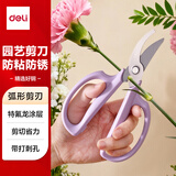 得力（deli）园艺剪刀修剪树枝花艺盆栽剪家用鲜花插花专用剪刀绿箩绿植花卉果树168mm TJ53紫