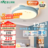 雷士（NVC）LED照明吸顶灯儿童氛围卧室灯创意可爱卡通简约-龙猫蓝色