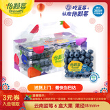 怡颗莓Driscoll's云南蓝莓Jumbo大果18mm+ 6盒约125g/盒 水果年货礼盒