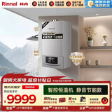 林内（Rinnai）燃气壁挂炉 家用地暖 恒温智控  采暖热水器  暖域系列24KW  L1GB28-24G56