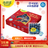 怡颗莓Driscoll's云南蓝莓Jumbo大果18mm+4盒装约125g/盒 新鲜年货水果