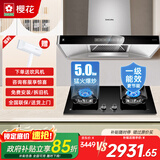 樱花抽油烟机烟灶套装变频欧式24立方大风量家用免拆自清洗负离子净化挥手自清洁油烟机灶具套装 TE18+DGC02【天然气】