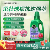 美乐棵种球营养液郁金香风信子马蹄莲植物花肥肥料浓缩植物营养液500ML