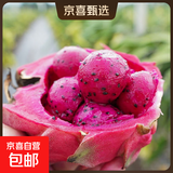 海南红心火龙果金都一号装新鲜采摘现摘现发 带箱1斤（单果200g+）