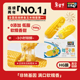 北纬47度黄糯小玉米1.8斤(150g*6) 东北黄糯玉米段儿童玉米真空包装低脂 