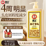 霸王生姜洗发水姜汁首乌去屑止痒洗发露洗头膏清新舒爽1L