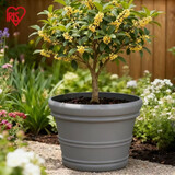爱丽思（IRIS）特大号圆形花盆种树庭院超大加厚大盆景树木无花果蓝莓果树种植盆 【今日特价】20号灰色 约80L(口径60cm)