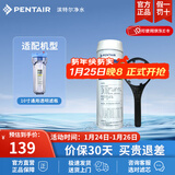滨特尔（pentair） 净水器家用 前置10寸PP棉滤芯 简易更换 RESIN-10 10寸软化树脂滤芯+扳手