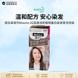 花王（KAO）遮白染发剂Blaune 2G亚麻浅驼植物盖白染发膏泡泡染原装进口