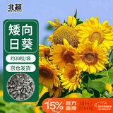 北蔬 向日葵种子苗盆栽矮生观赏葵花室内外花卉籽 观赏向日葵种子30粒