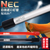 靓相和NEC龙鱼灯鱼缸发色增艳观赏烤色灯管6700K金红龙专用神灯马印防水 白光-6700k/128cm/红外观/整根/T8