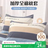 艾薇 A类枕头套纯棉家用全棉单人枕套一对枕芯套 罗马时代 48*74cm