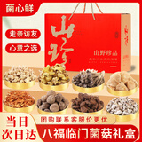 菌心鲜 山珍菌菇礼盒800g 云南特产南北干货蘑菇菌类中秋送长辈礼品礼盒