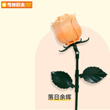 奇妙（keeppley）积木玫瑰花束永生积木花束摆件送女生七夕礼物 落日余晖