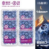佳沃（JOYVIO） 蓝莓 14mm+ 礼盒装6盒 约125g/盒 新鲜水果礼盒