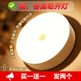 大九卫 人体感应灯智能小夜灯LED光控衣柜过道楼梯卫生间楼道免打孔起夜 【超值款发2个】白光-人来即亮