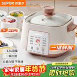 苏泊尔（SUPOR）电炖锅 电炖盅家用煲汤锅炖汤锅 隔水炖锅 煲汤专用电锅全自动陶瓷炖汤盅 DZ25YC828