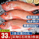 鲜拔头筹 新鲜红石斑鱼 大眼鱼富贵鱼深海鱼生鲜鱼类 海鲜水产红鱼 【推荐 特大规格】1.8-2.2斤*3条