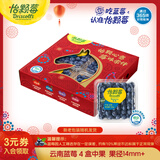 怡颗莓Driscoll's云南蓝莓14mm+ 4盒装 约125g/盒 新鲜水果