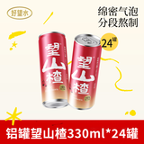 好望水望山楂气泡果汁饮料气泡水易拉罐碳酸饮料聚餐聚会山楂汁饮品整箱 【整箱】望山楂330ml*24罐