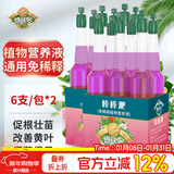 德沃多植物营养液通用免稀释棒棒淝12支园艺绿植水培土培盆栽花肥料生根