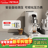 柏翠(petrus)咖啡机小白觉醒意式家用小型半自动蒸汽打奶泡PE3663