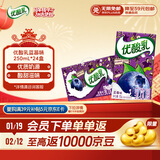 伊利优酸乳蓝莓味250ml*24盒/箱乳饮料 牛奶饮品 礼盒装