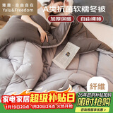 雅鹿·自由自在A类被子秋冬天季棉被芯单双人宿舍学生6斤200x230cm 古典灰